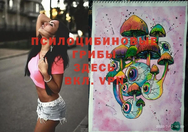 молекула духа Киреевск